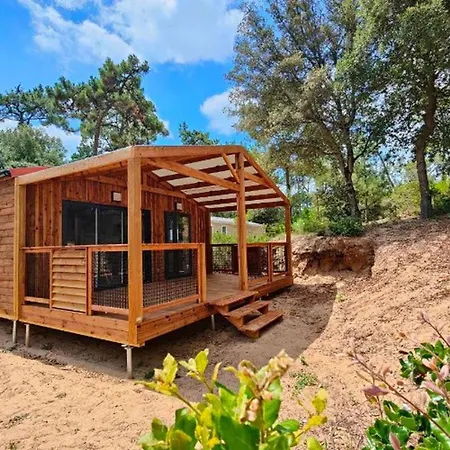 Cosy Avec Terrasse Au Calme - Api-1-52-1060 *