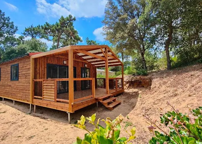 Cosy Avec Terrasse Au Calme - Api-1-52-1060 *